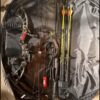 PSE Stinger X